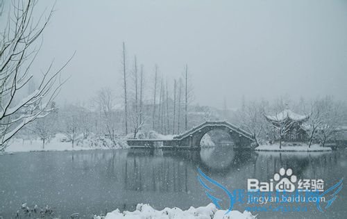 杭州西湖周庄两日山水自然风光优美之旅