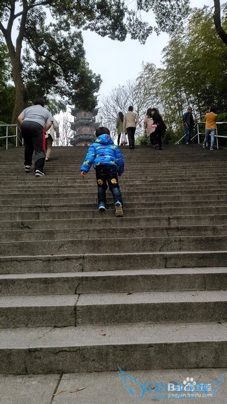 上海松江一日游攻略