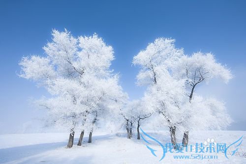 春节去哪里旅游最好?