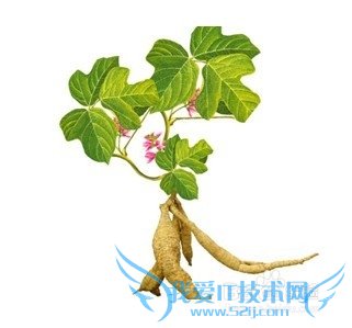 湘潭到张家界自驾游