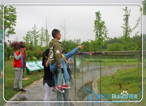 2016:怎样让孩子过一个平安健康又快乐的节日