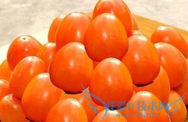 杭州到乌镇千岛湖山水自然国家级悠闲之旅