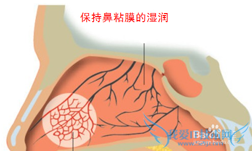 春夏之际如何预防流鼻血?流鼻血怎么快速止血?