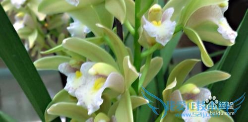 学会放松,你有没有被头疼所影响的事情?