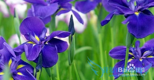 学会放松,你有没有被头疼所影响的事情?