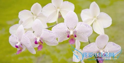 学会放松,你有没有被头疼所影响的事情?