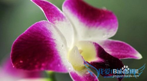 学会放松,你有没有被头疼所影响的事情?