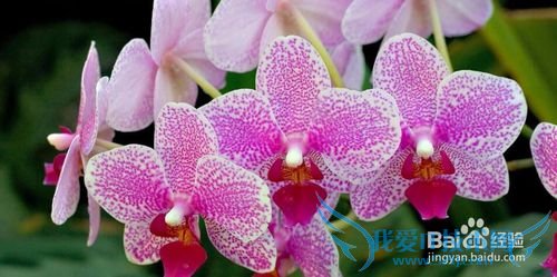 学会放松,你有没有被头疼所影响的事情?