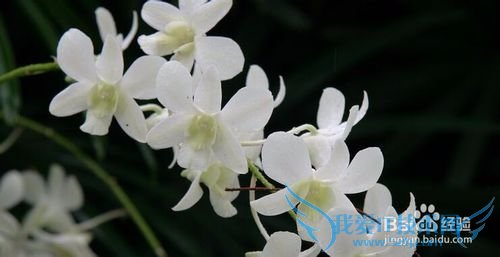 学会放松,你有没有被头疼所影响的事情?