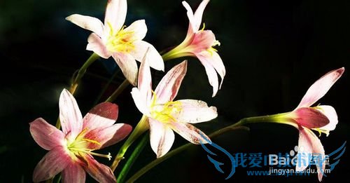 学会放松,你有没有被头疼所影响的事情?