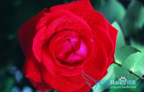 男女适用的邂逅浪漫爱情的11个搭讪技巧