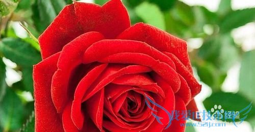 男女适用的邂逅浪漫爱情的11个搭讪技巧