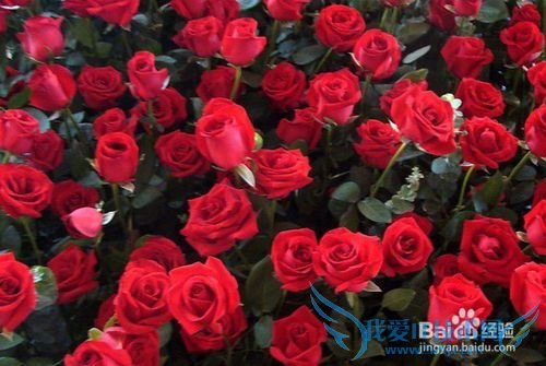 男女适用的邂逅浪漫爱情的11个搭讪技巧