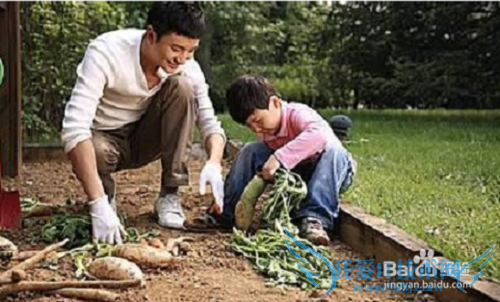 怎样培养孩子做家务的本领