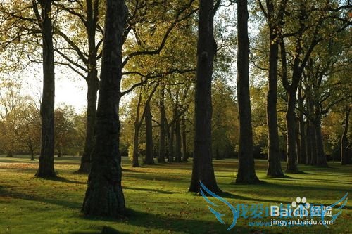 青少年如何正确上网