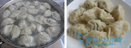 西葫芦素饺子怎么做