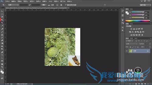 教你认识可以全草入药的草