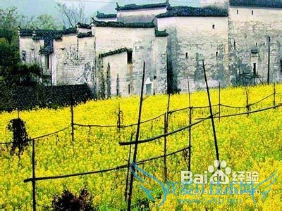 五一去哪里旅游好