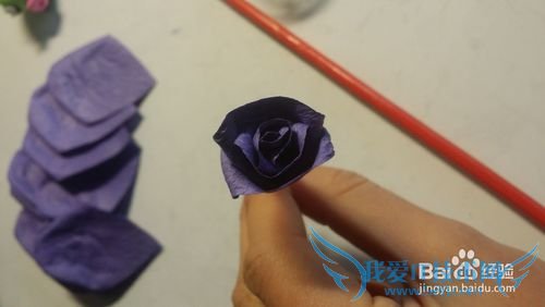 My paper rose