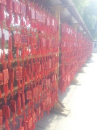 在武汉值得一去的地方