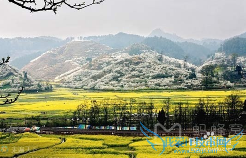 贵州金海雪山旅游攻略