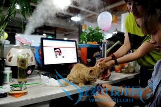 淘宝兼职经验分享 淘宝骗术