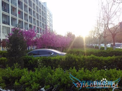 清明节前的旅行