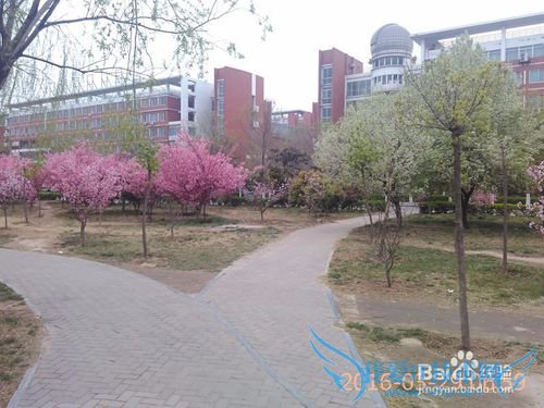 清明节前的旅行