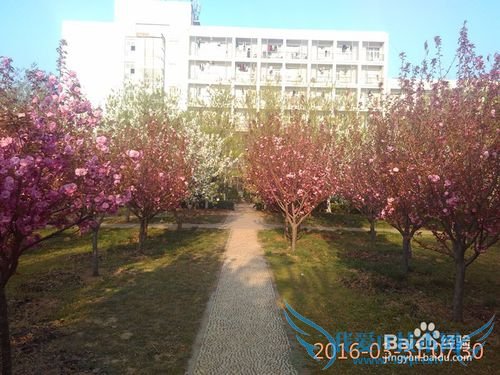 清明节前的旅行