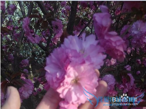 清明节前的旅行