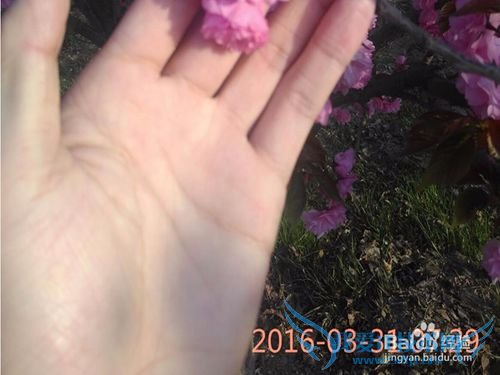 清明节前的旅行