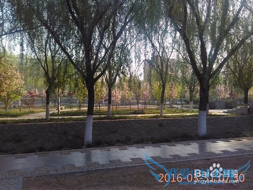 清明节前的旅行