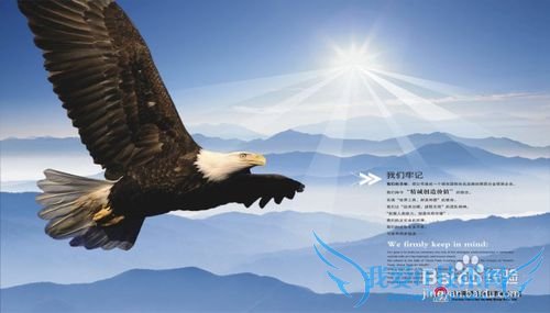 你应该知道的励志故事(上)