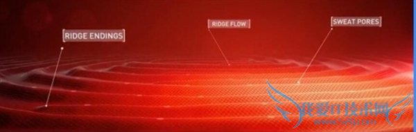 超声波指纹识别:究竟是啥黑科技?