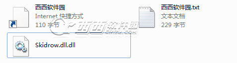 Skidrow.dll软件截图