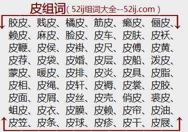 皮组词