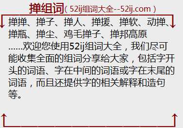 掸组词