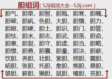 胆组词