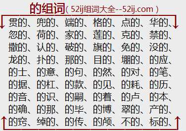 的组词