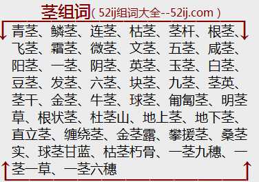 茎组词