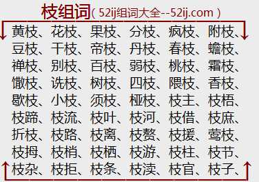 枝组词