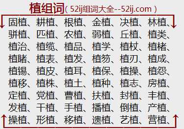 植组词