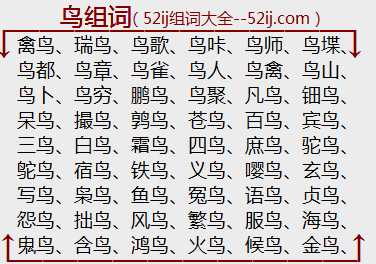 鸟组词