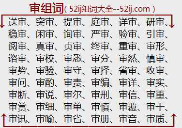 审组词