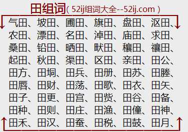 田组词